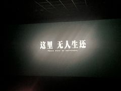 -左岸国际电影城(松江沃尔玛店)
