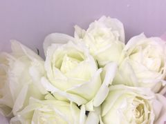 -亭亭鲜花店(中山北路店)