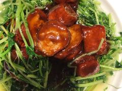 -丰收日(五角场店)