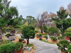 -万景茶庄·台州菜