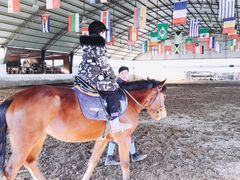 -月河湾马术俱乐部(朝阳店)