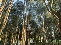 -福建鲤鱼洲酒店