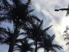 -西安国际创新人才交流中心•药浴温泉
