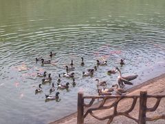 -滴水岩森林公园