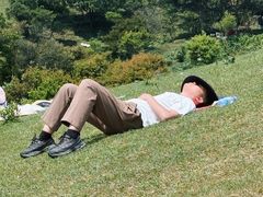 -大姆山草场