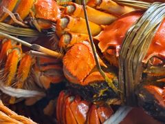 -蟹村草堂·苏式园林人文农家·大闸蟹