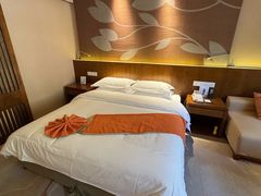 -九华山聚龙大酒店