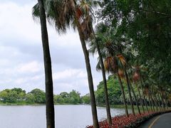 -星湖旅游景区七星岩