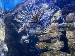 -运城海洋馆
