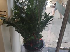 -宝岛眼镜(福州宝龙二店)