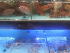 -阿伟海鲜楼·福建菜(延寿店)