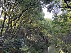 -同里国家湿地公园