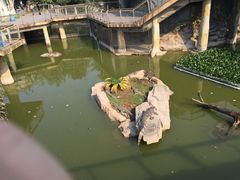 -南昌动物园
