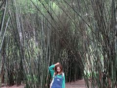 -峨眉山报国寺