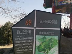 -白水寺森林公园