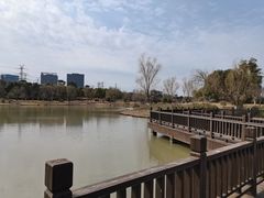 -九科绿洲