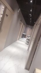 -三只熊皮肤管理中心