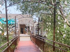 -崖口红树林海鲜餐厅