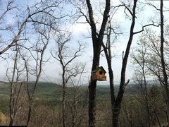 -帽儿山国家森林公园