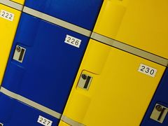 -重庆市奥林匹克体育中心-游泳跳水馆