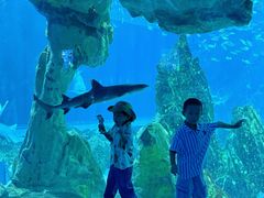 -海合安成都极地海洋公园