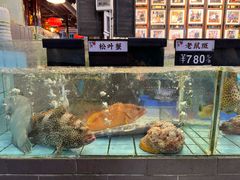 -猪肉婆私房菜(容桂总店)