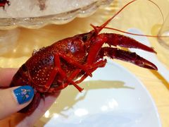冰镇龙虾-怪怪龙虾·澳洲蓝龙王·深夜食堂(惊驾路店)