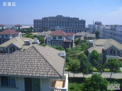 正前方就是主楼-上海棕榈滩海景酒店