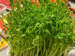 -牛签签串串香(IFS店)