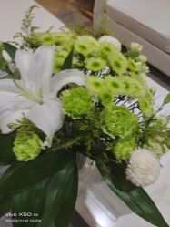 -HEYAN长风荷妍专业脱毛美肤
