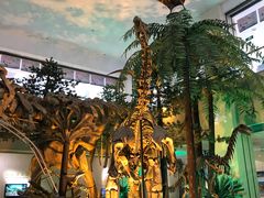 -甘肃地质博物馆