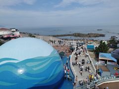 -海合安青岛极地海洋公园