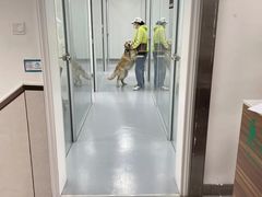 -心仪动物医院·牙专科·肿瘤·心脏科(西客站院)