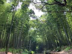 -同里国家湿地公园