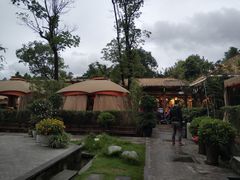 大堂-二荆条·蜀鲜汇城市森林火锅