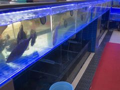 -金海湾海鲜排档(朱家尖店)
