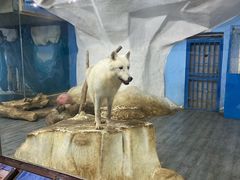 -南京海底世界