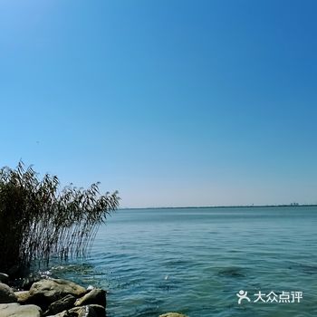懒人亲子游东太湖生态园