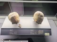 -贵州省博物馆(新馆)