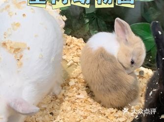 贵阳探店/适合带小孩一起去的室内动物园