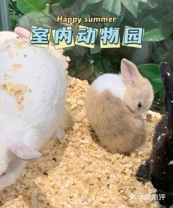 贵阳探店/适合带小孩一起去的室内动物园