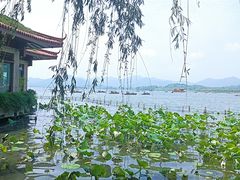 -湖畔居茶楼(湖滨店)
