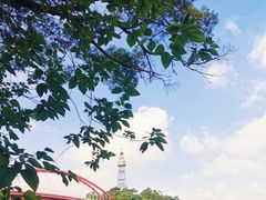 景点-金鸡山公园