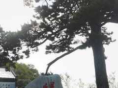 -妙峰山风景名胜区