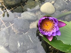 -台山颐和温泉城