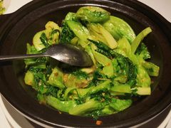 XO酱焗生菜-新花城蟹粉馆(乌鲁木齐店)