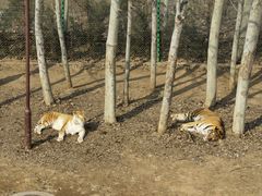 -济南野生动物世界