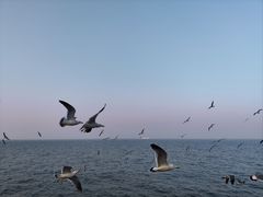 -大连海昌东方水城