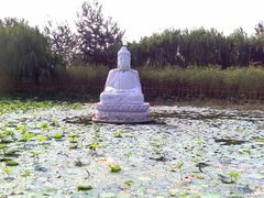 android_upload_pic-毛遂公园