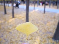 -汉景帝阳陵博物院